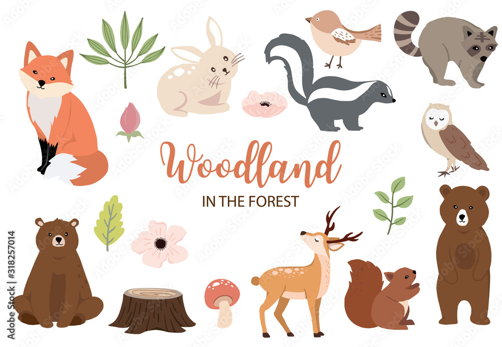 可爱的林地物品收藏，包括熊、兔子、狐狸、臭鼬、蘑菇和树叶。矢量插图f