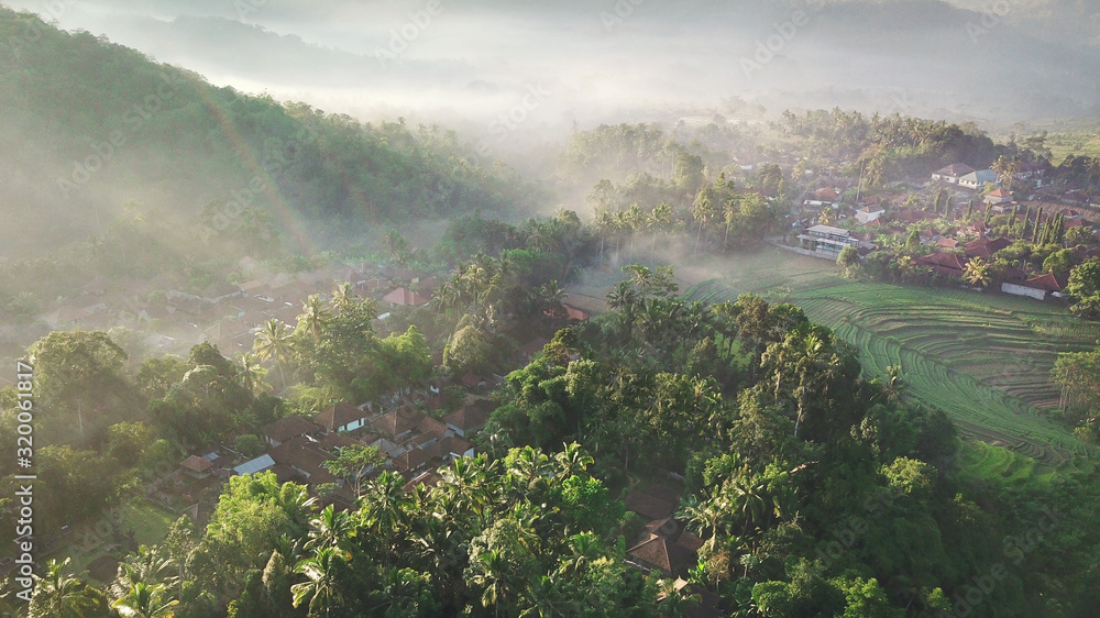 Morning fog above palm trees, jungles and rice fields. Bali