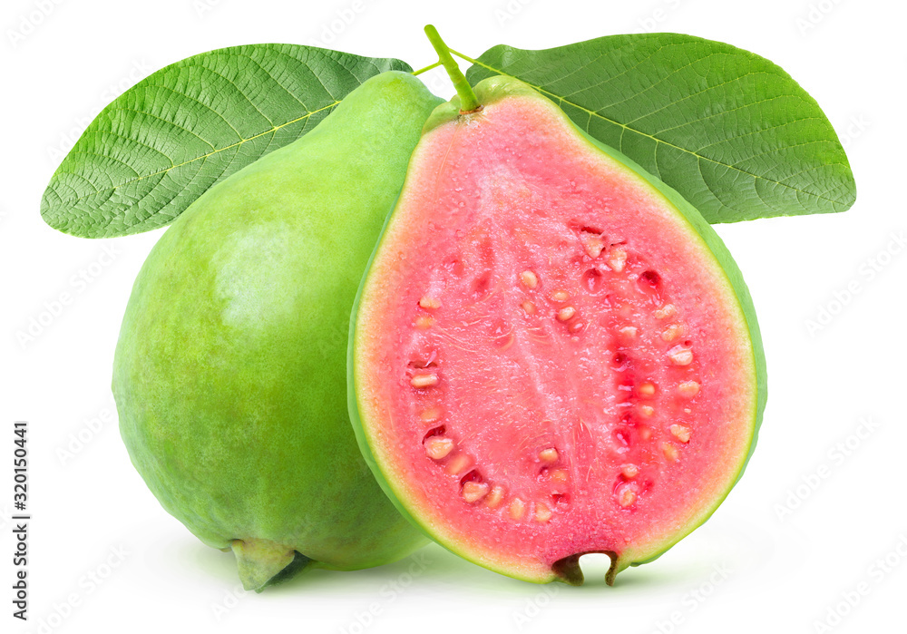 Isolated guava. One whole green guava fruit and a half with pink flesh on a branch with leaves isola