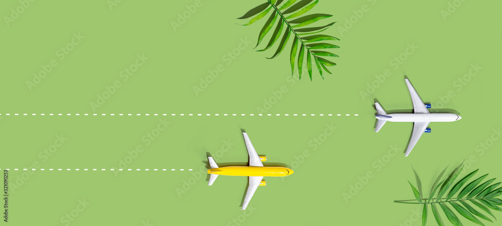 两架微型飞机的航班预订和预订主题