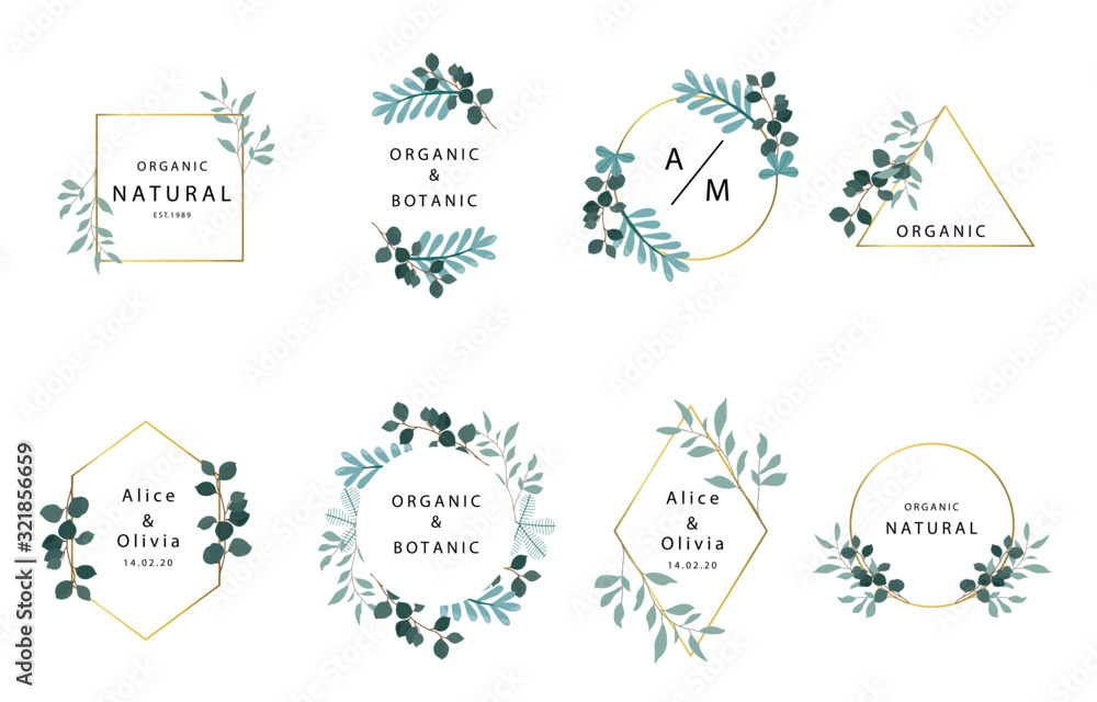 树叶波西米亚标志系列，带树叶，几何图案。图标、标志、贴纸的扇形插图，可打印