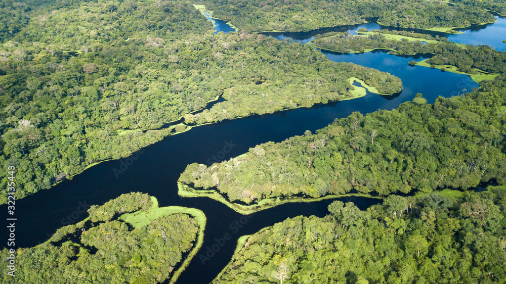 Amazon rainforest seen from above reveals the beauty of its rivers, trees and animals. Pará, Brazil