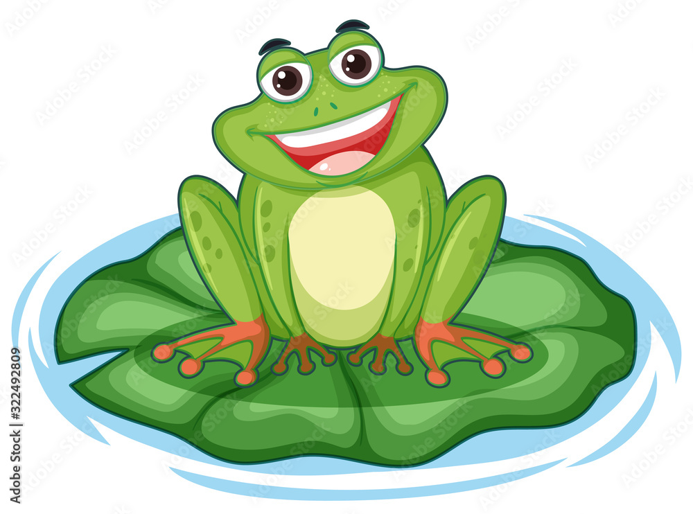 可爱的荷叶绿蛙