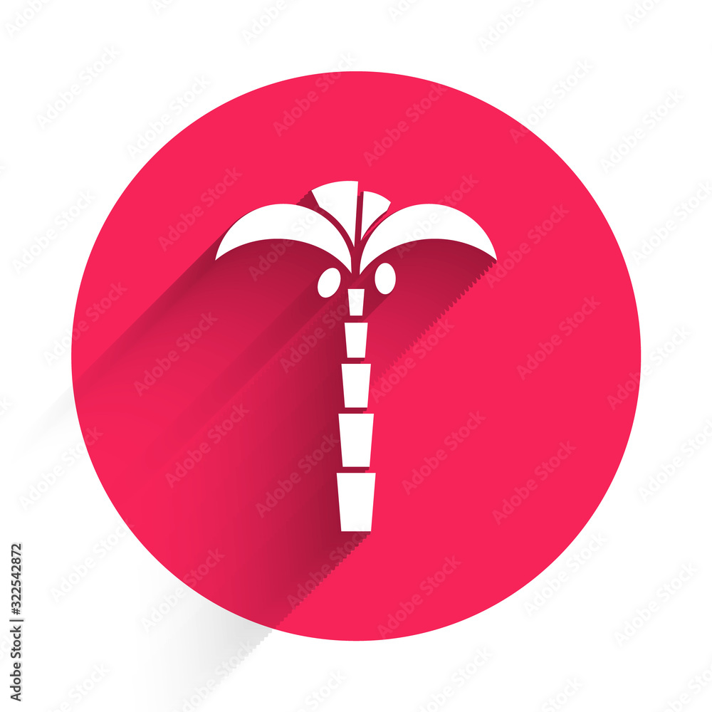 白色热带棕榈树图标，与长阴影隔离。椰子棕榈树。红色圆圈按钮。Vecto