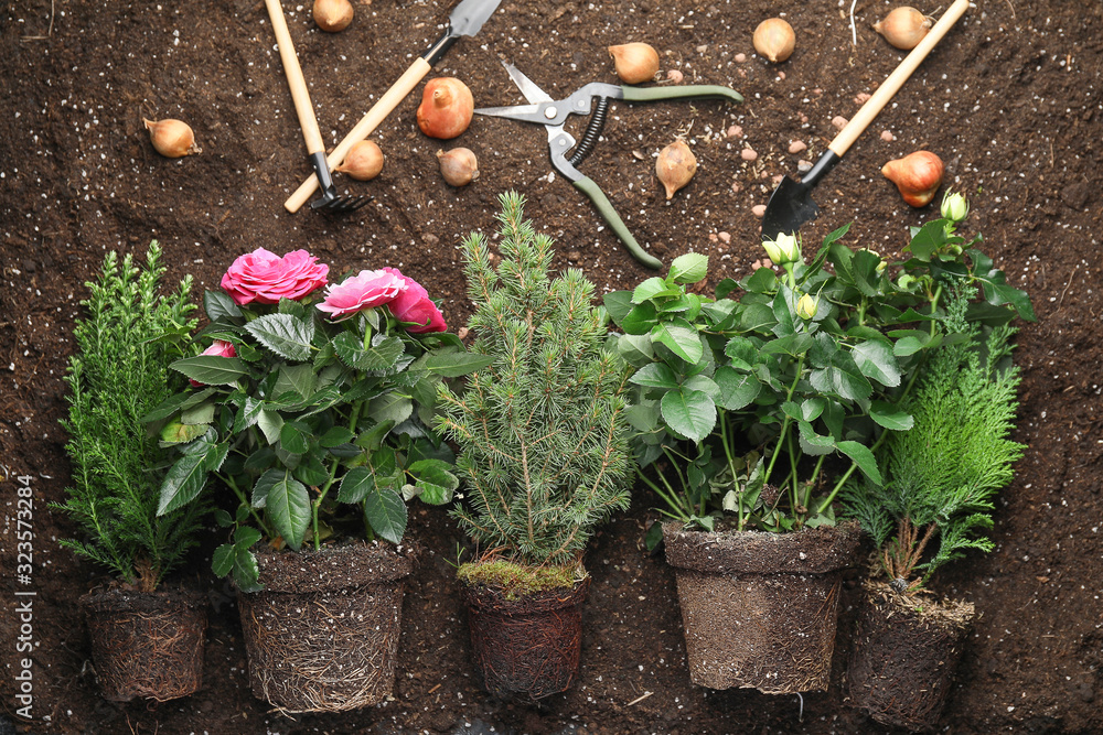 在土壤上种植植物的园艺用品