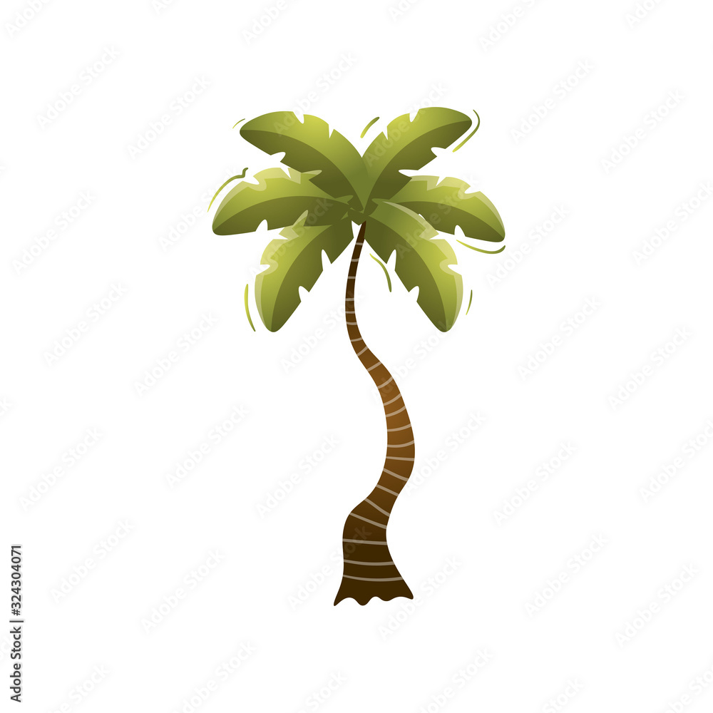 孤岛上可爱的绿色海滩棕榈树