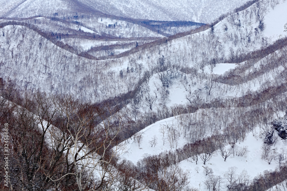 Rausu山位于北海道内目罗县门下区。美丽的冬季土地