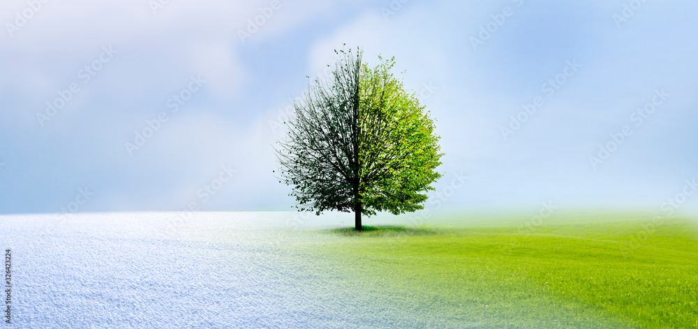 Jahreszeiten Wechsel vom Winter in den Frühling mit Baum