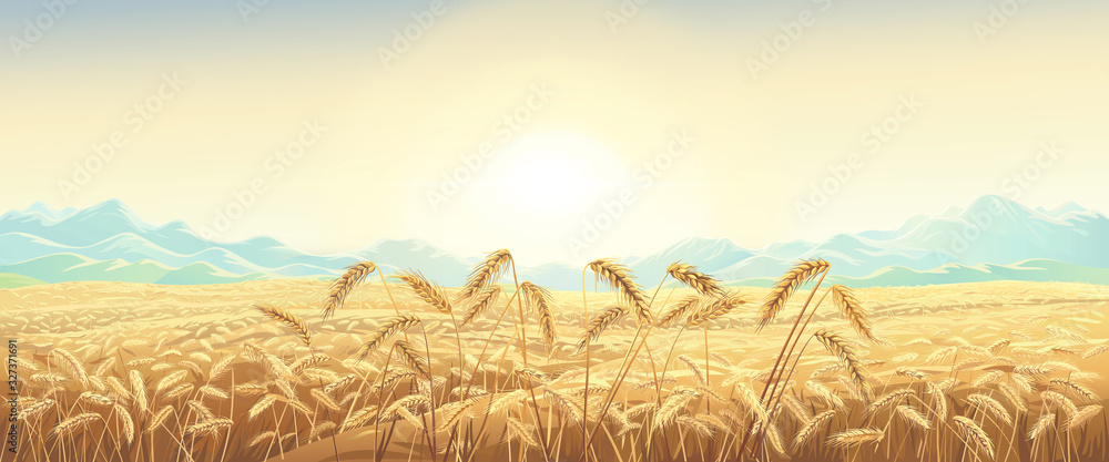 背景是山脉和日出的麦田乡村景观。光栅插图。