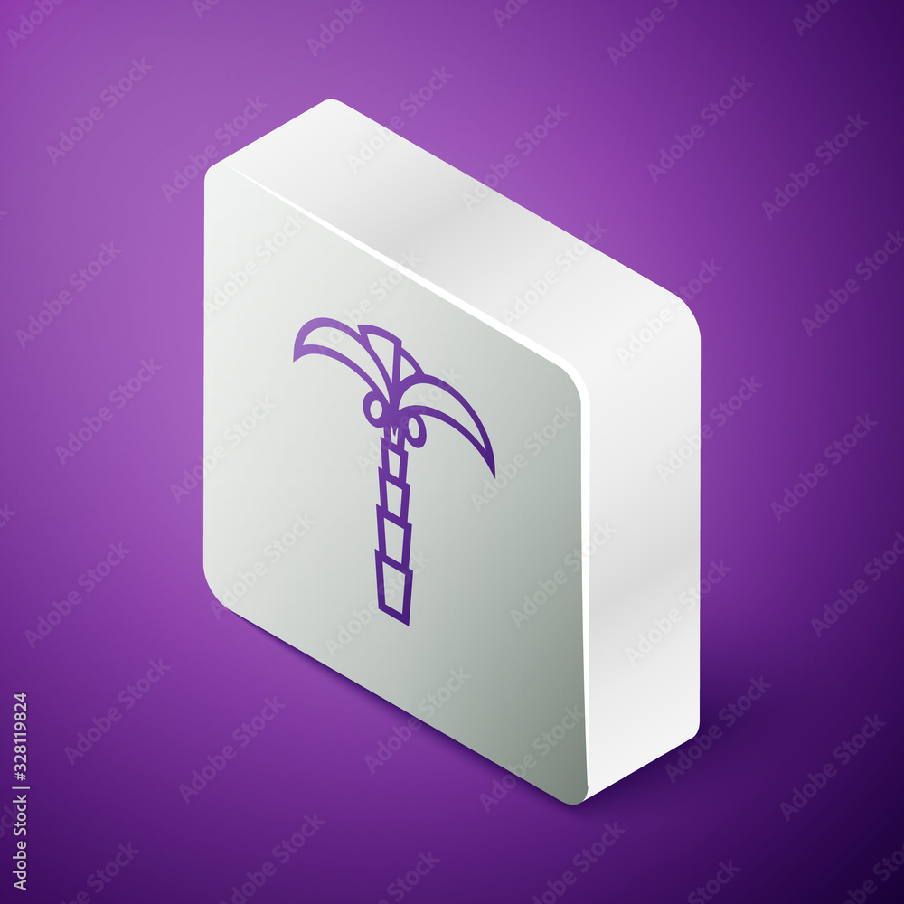 Isometric line Tropical palm tree icon isolated on purple background. Coconut palm tree. Silver squa
