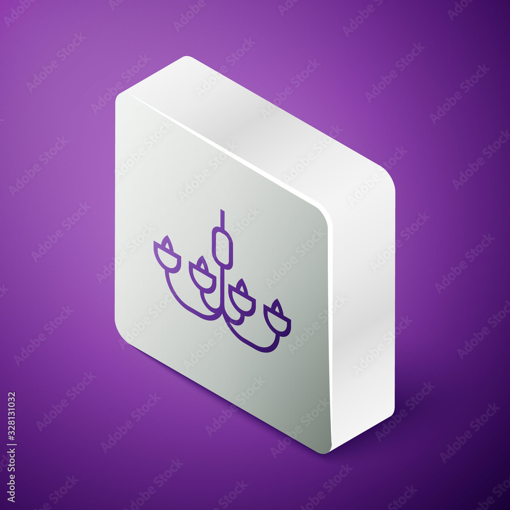 Isometric line Chandelier icon isolated on purple background. Silver square button. Vector Illustrat