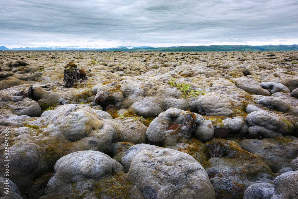 外星冰岛景观，熔岩场覆盖着火山喷发产生的棕色苔藓Eldhraun和c