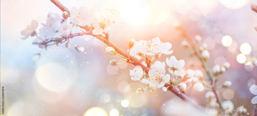 Spring Nature Easter art background with blossom. Beautiful nature scene with blooming flowers tree 