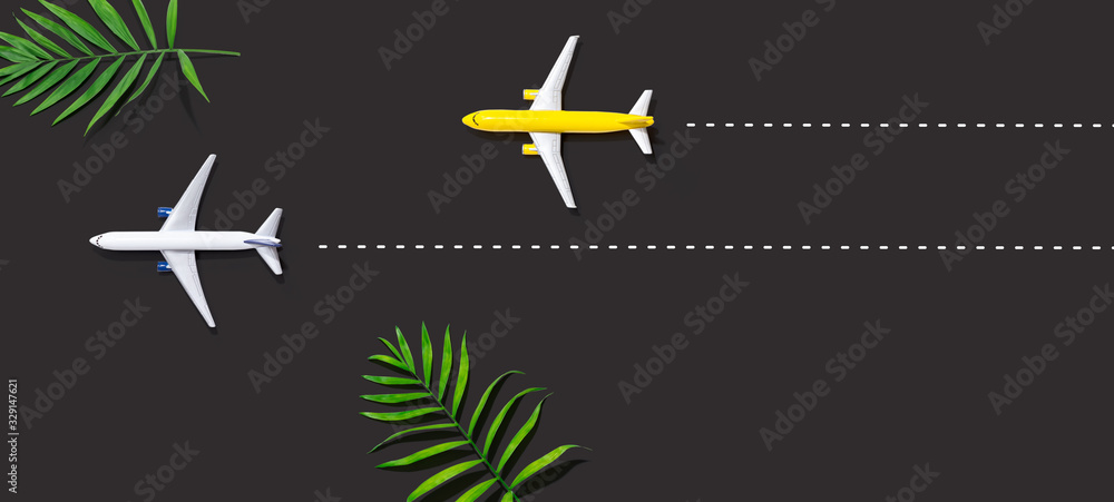 两架微型飞机的航班预订和预订主题