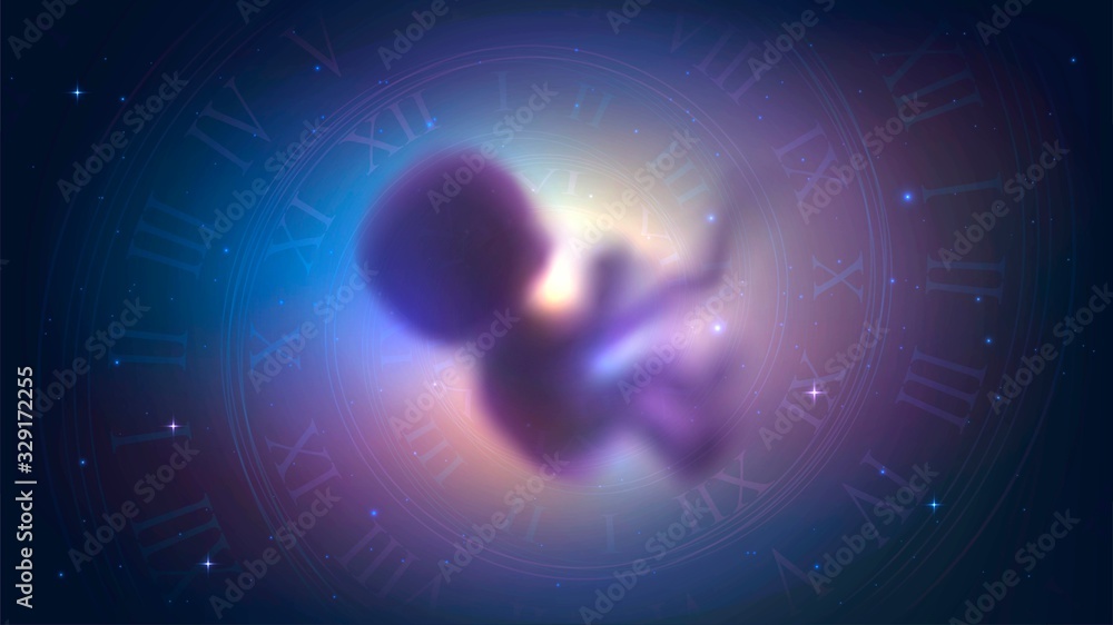 The human embryo in space and the spiral of time, the concept of reincarnation, evolution and astrol