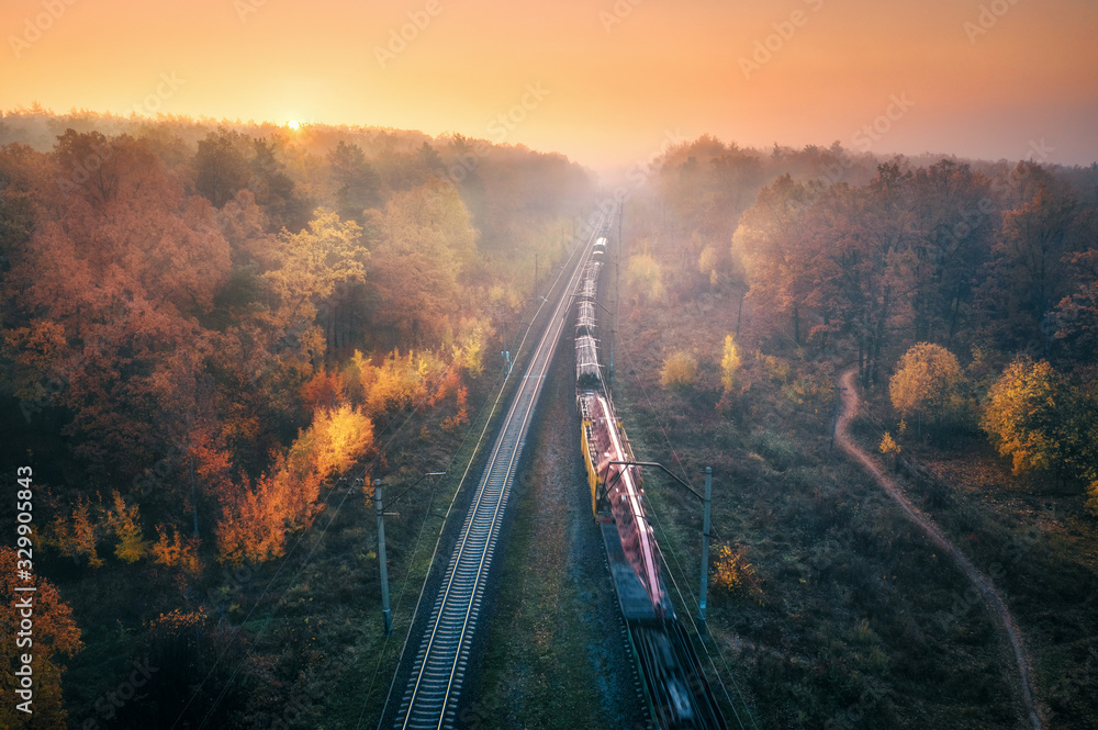 秋天日落时，货运列车在雾中美丽的森林中鸟瞰。色彩缤纷的风景