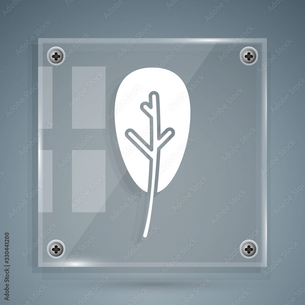 灰色背景上隔离的白叶子图标。叶子标志。新鲜天然产品标志。方形玻璃