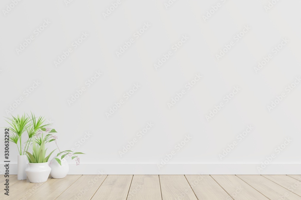 白色室内设计，地板上有植物。