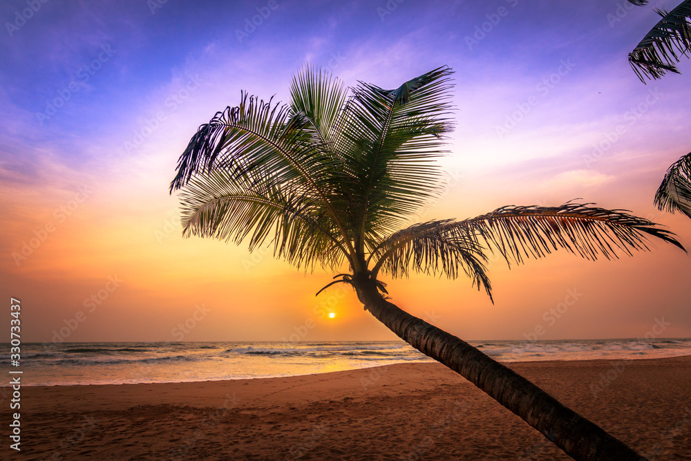 海滩上的日落，海滩上美丽的棕榈树，在日落中。斯里兰卡