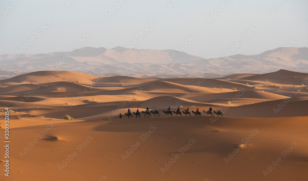 与骆驼商队在沙漠中日出
