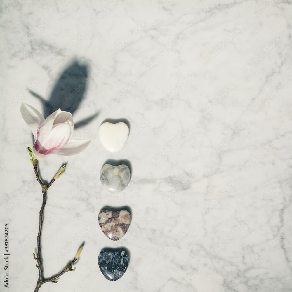 Flat lay composition with beautiful spring magnolia flowers and grey stones on white marble backgrou