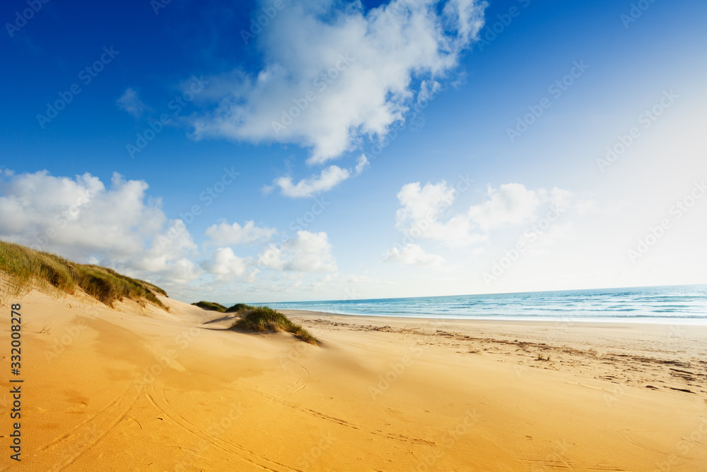 阳光明媚的日子里，加利福尼亚西海岸海滩上的沙丘上有小云朵