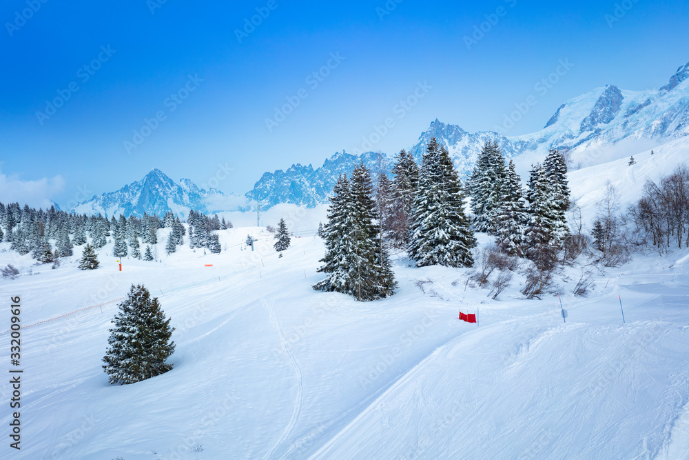 东南部奥弗涅-罗纳-阿尔卑斯山脉霞慕尼地区勃朗峰冬季滑雪场和冷杉