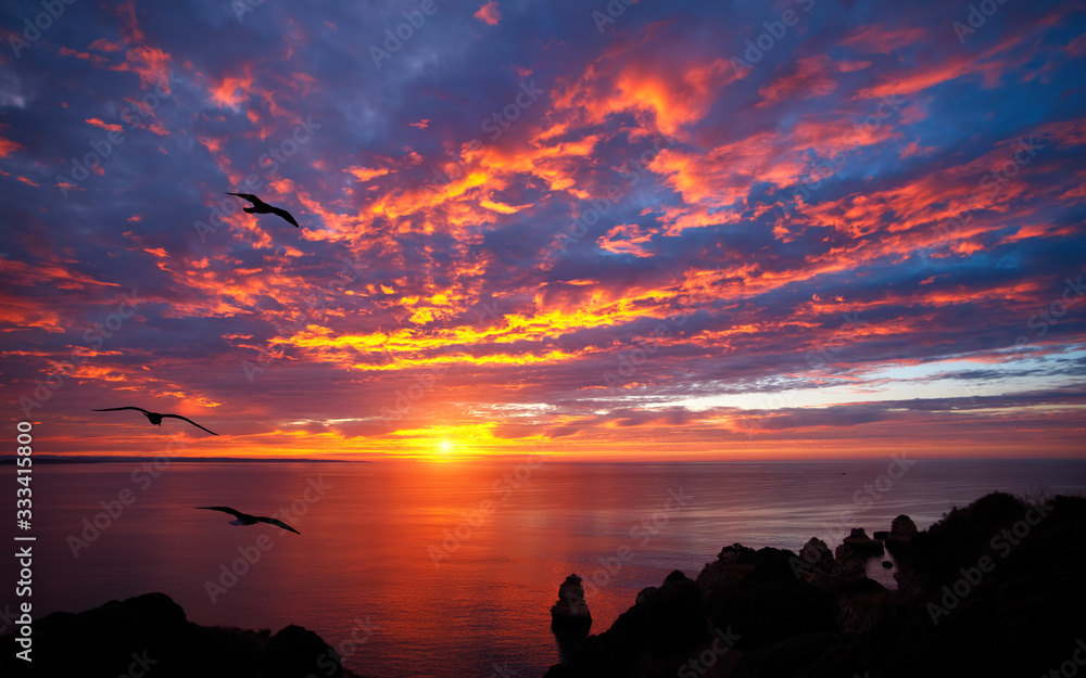 海洋上令人惊叹的日出，美丽的红云和飞向大海的鸟的剪影
