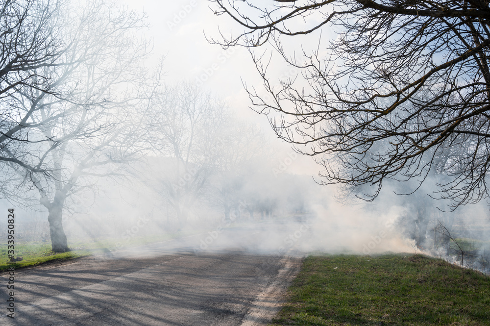城市道路附近森林火灾产生的烟雾
