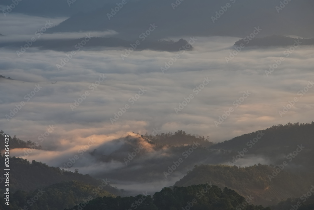 Beautiful sea of fog in a valley with orange sky cloud in a sunrise time