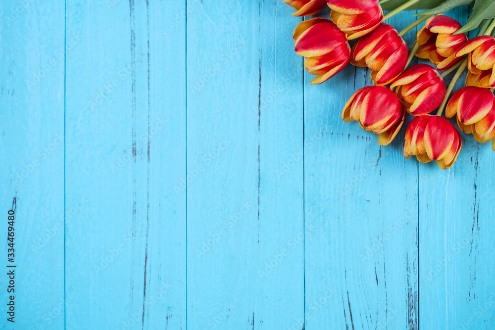 郁金香花束，母亲节设计理念-美丽的红色，黄色花束隔离在蓝色的woo上