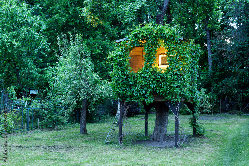傍晚的夏日花园里，茂密的野生葡萄丛中的树上的游戏室从里面闪闪发光。