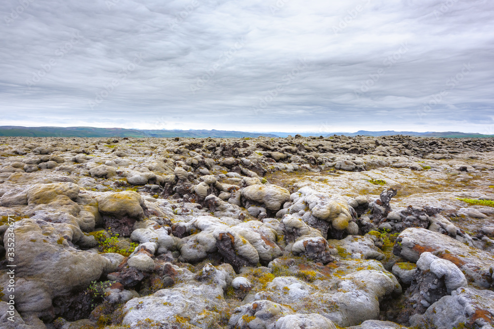 独特的冰岛景观，火山爆发后的熔岩场覆盖着棕色苔藓Eldhraun