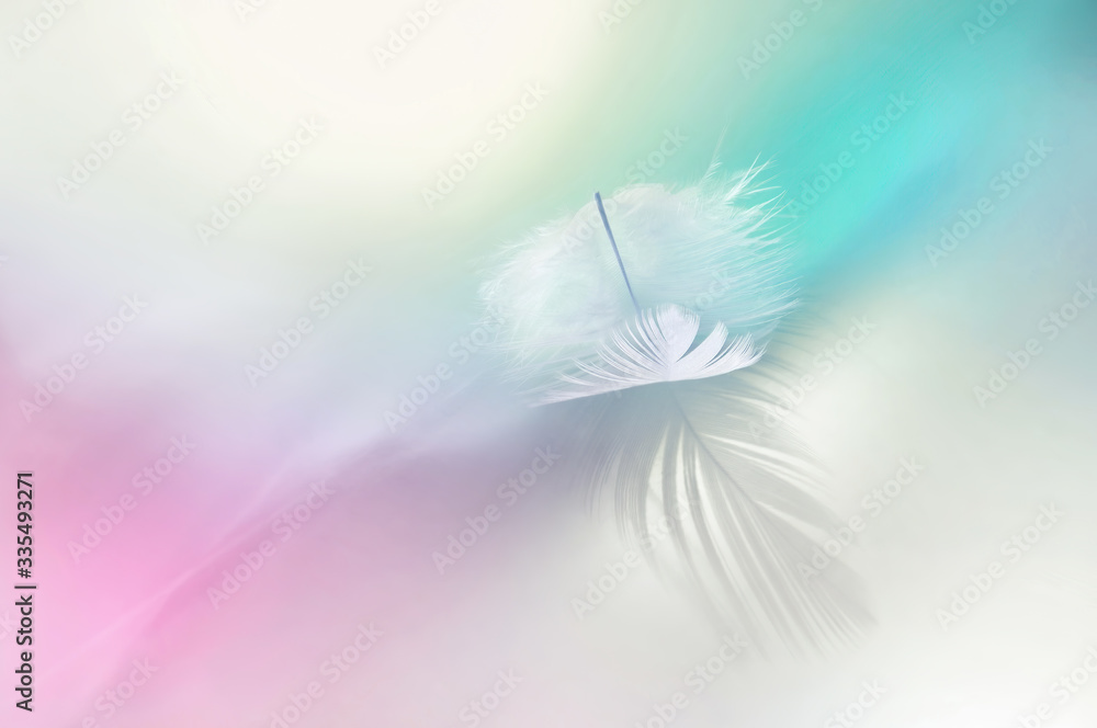Light fluffy feather on light pink and blue background. Soft pastel colors, elegant air artistic ima