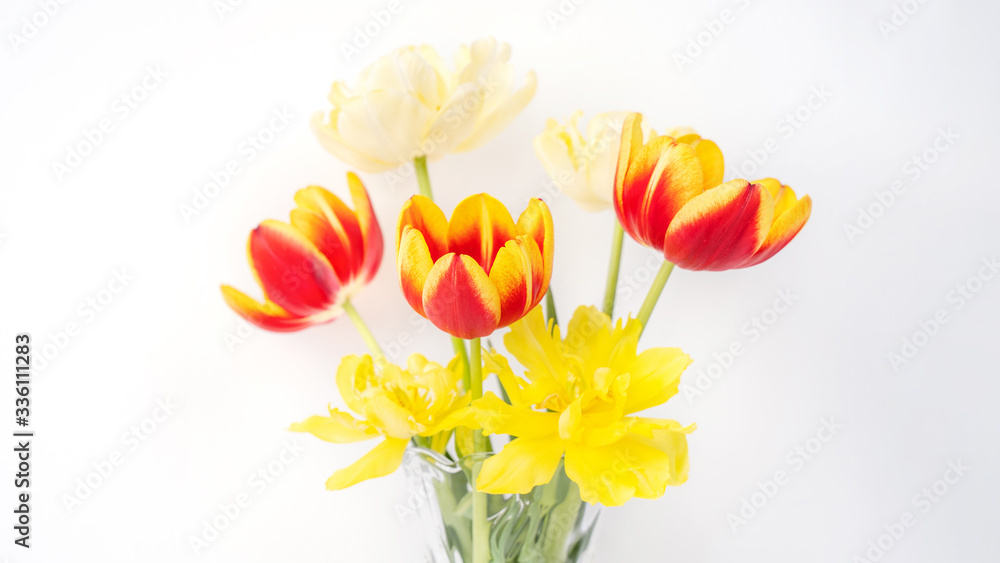 玻璃花瓶里的郁金香花，相框放在白色木桌背景上，背景是干净的w