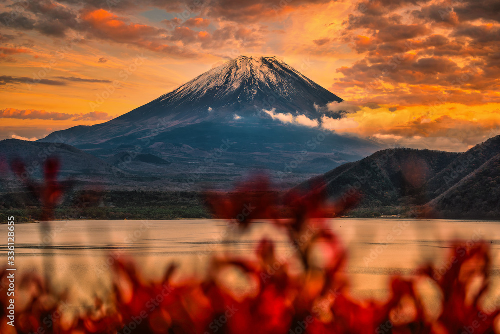 日本山梨县日落时，富士山在本须湖上的秋叶景观图。
