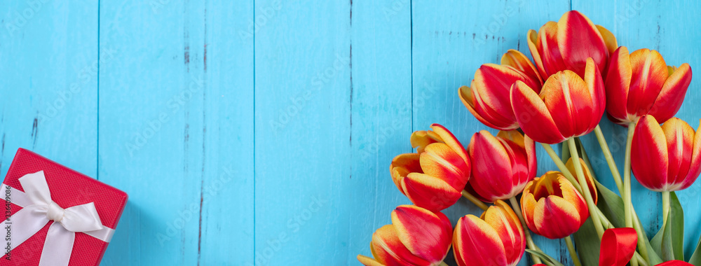 Mothers Day Design Concept, Tulip flower bunch. Beautiful Red, yellow bouquet isolated on blue wood