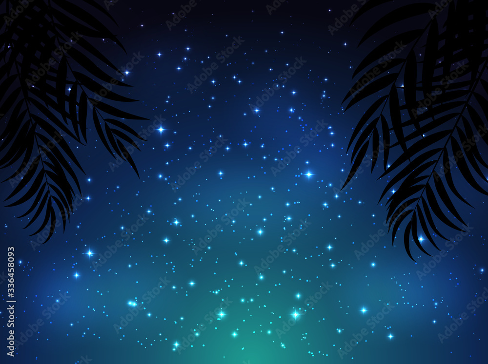 棕榈叶的夜空背景。矢量插图