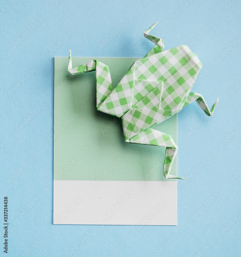 Folded frog origami paper craft
