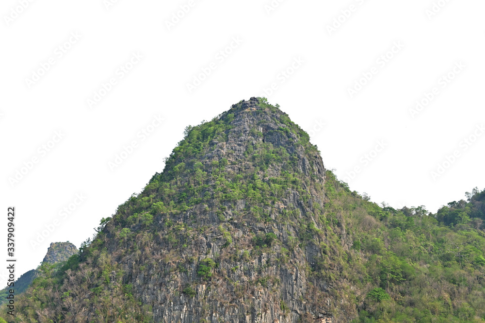 rock mountain with tree isolate on white background