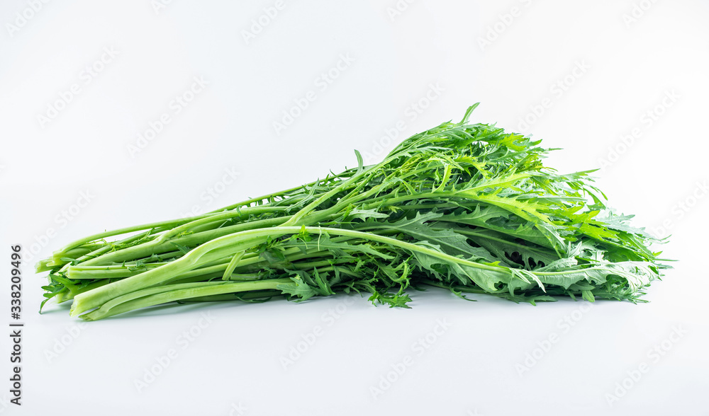Fresh green vegetables red on white background