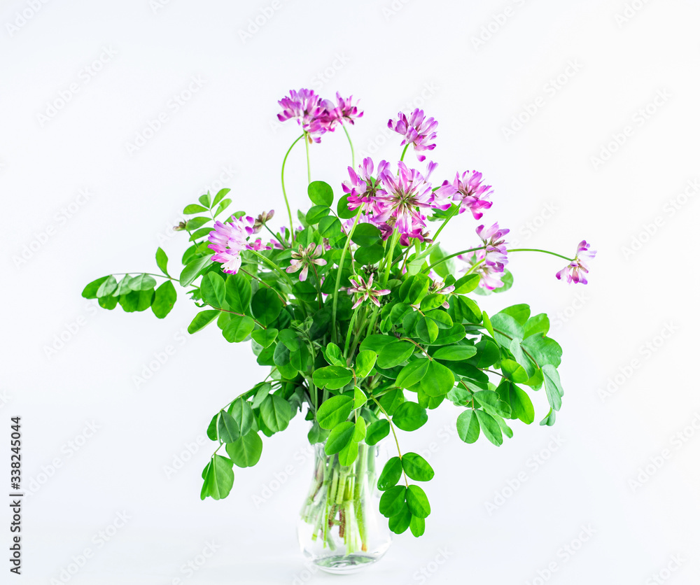 白底瓶装的Viburnum花