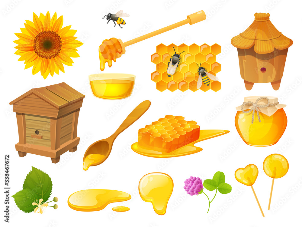 蜂蜜隔离套装，养蜂产品，木制蜂窝养蜂场，矢量插图。蜂窝和b