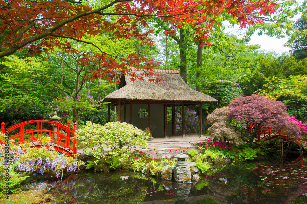 海牙日本花园中的正宗亭子美景