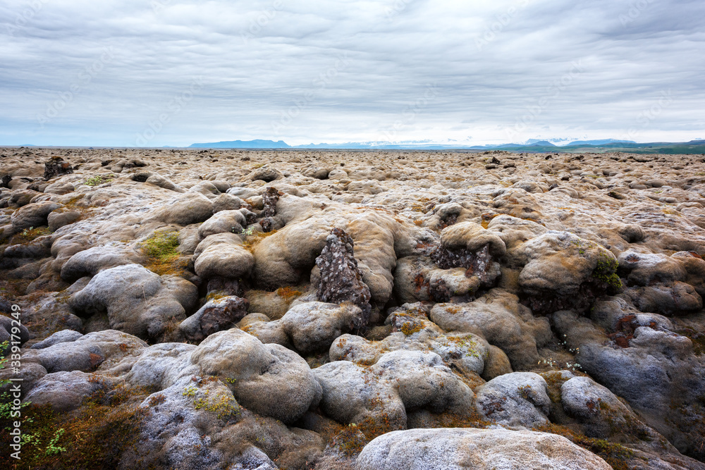 火山爆发后的熔岩场覆盖着埃尔德伦的棕色苔藓，这是一片与众不同的冰岛景观。