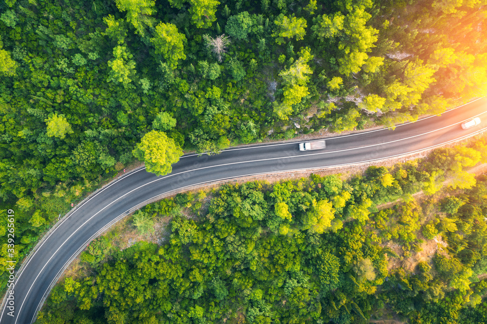 Aerial view of road in beautiful green forest at sunset in spring. Colorful landscape with car on th