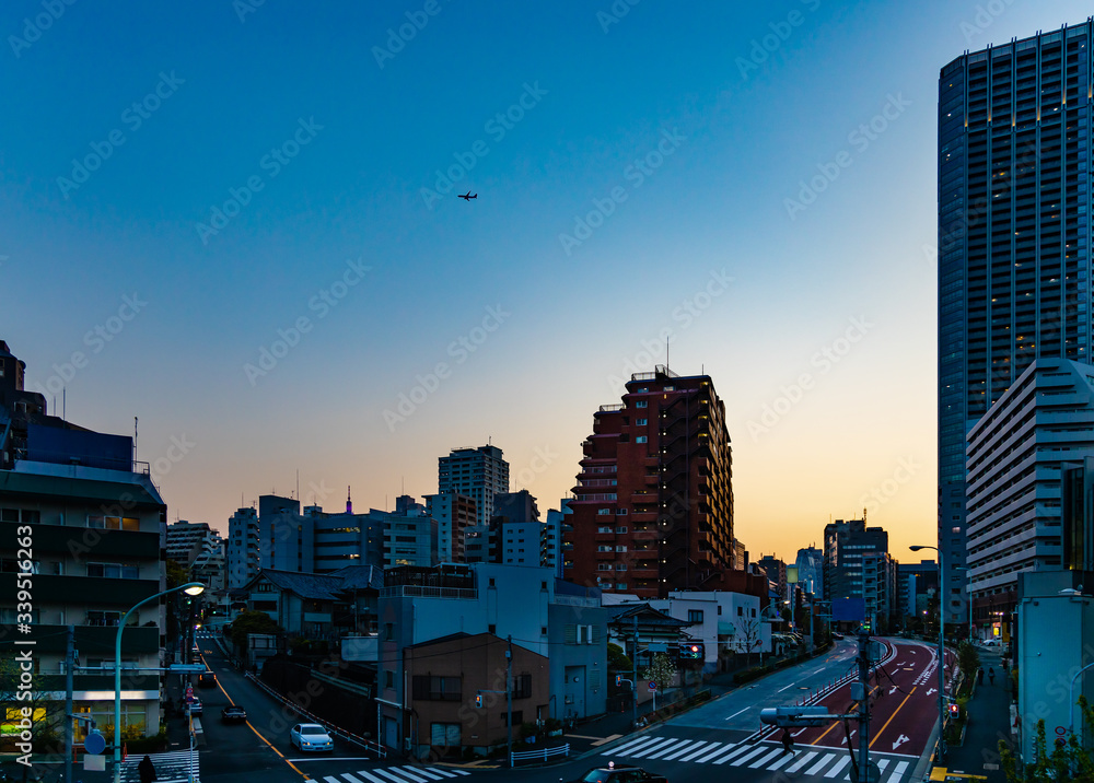 東京の夕暮れの空と飛行機