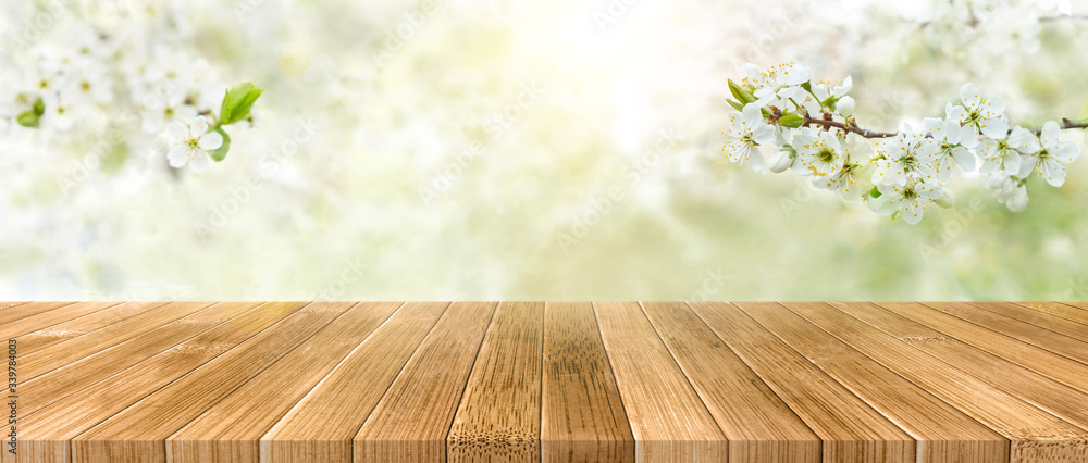 春天的背景，木桌前有白色的花朵和阳光。春天的苹果园o