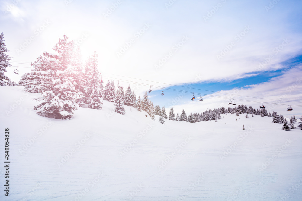 阿尔卑斯滑雪缆车和白雪覆盖的冷杉，南部夏蒙尼地区，奥弗涅-罗纳-阿尔卑斯