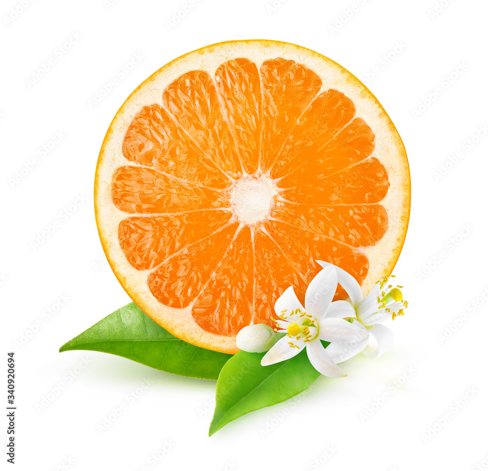 白色背景上隔离的橙色果实、橙色树叶和花朵的横截面